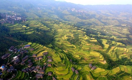 Image 298935241