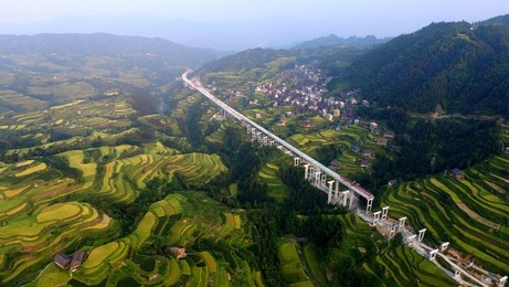 Image 298935246