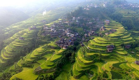 Image 298935247