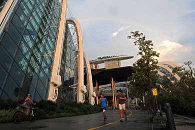 Image 299060428