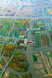 Image 299219211