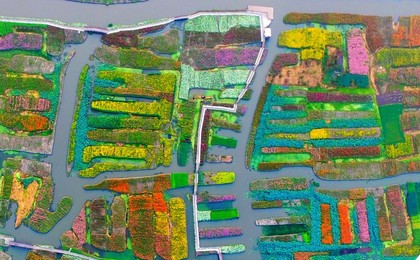 Image 299219212