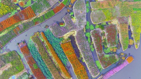 Image 299219214