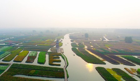 Image 299219215
