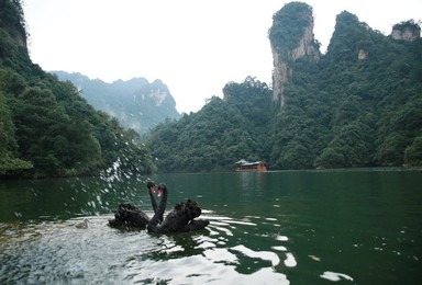 Image 299367075