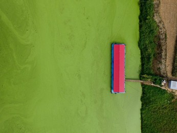 Image 299805354