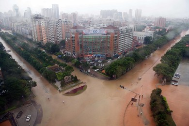 Image 299979027