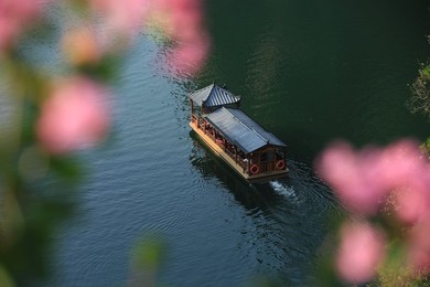 Image 300071062