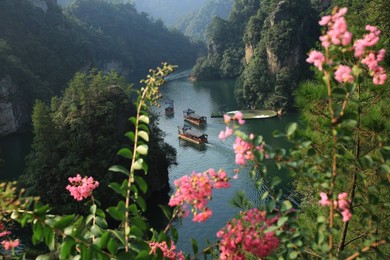 Image 300071067