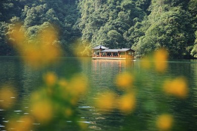 Image 300071069