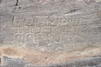 Image 300501016