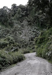 Image 300575049