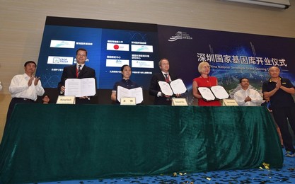 Image 300756031