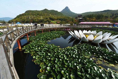 Image 301213556