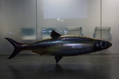 Image 301808064