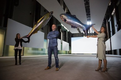 Image 301808370