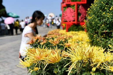 Image 301948193