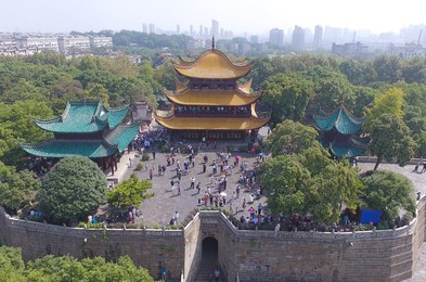 Image 301948268