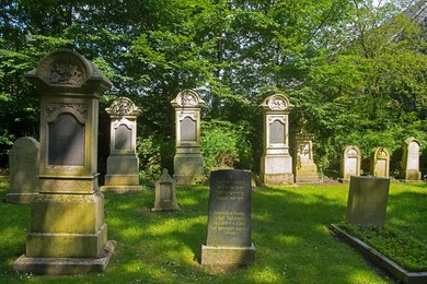 Image 301984654