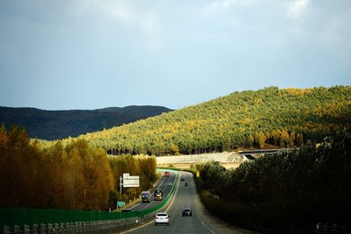 Image 302418276
