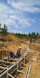 Image 302554501