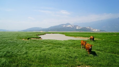 Image 302554506