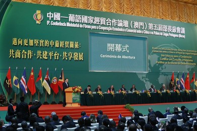 Image 302554538