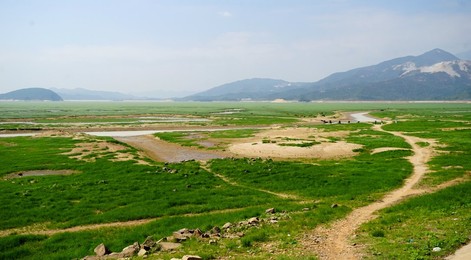 Image 302554714