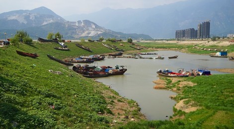 Image 302554717