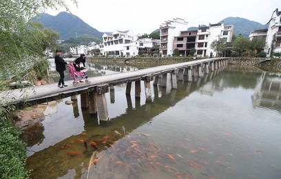 Image 302731320