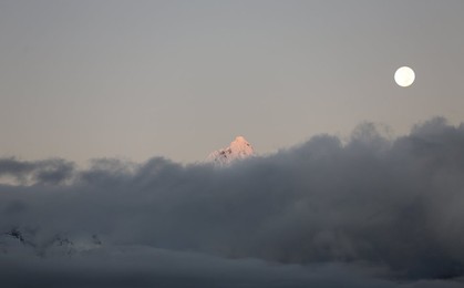 Image 303076688
