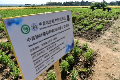 Image 303076899