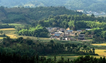 Image 303081962