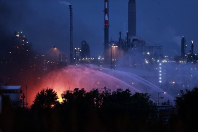 Image 303197344