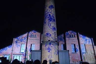 Image 303197374