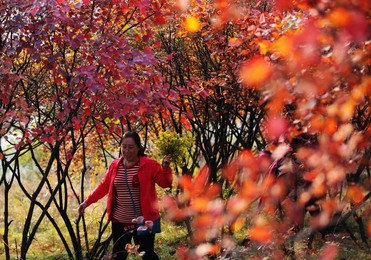 Image 303197430