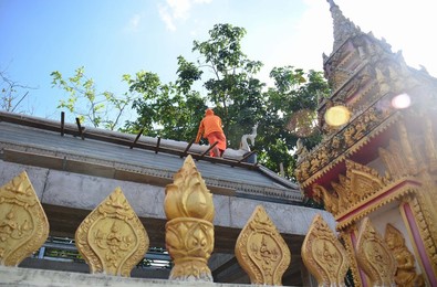Image 303334878
