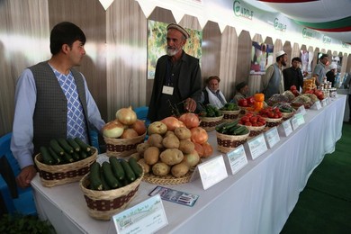 Image 303436418