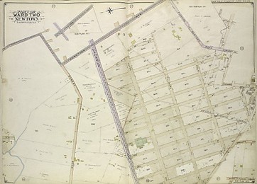 Image 303577055