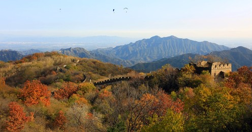 Image 303739944