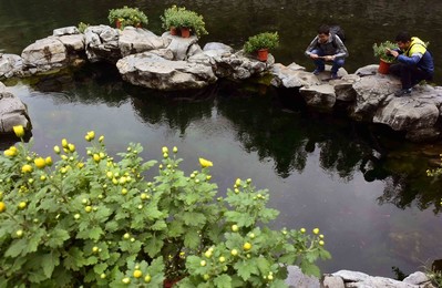 Image 303740112