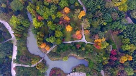 Image 305508718