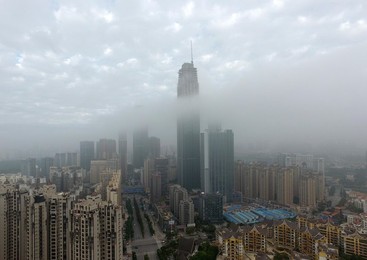 Image 305568646