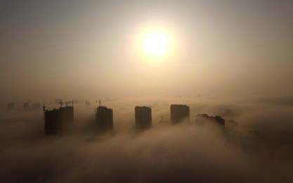 Image 305568660
