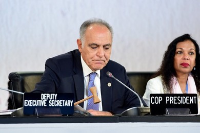 Image 306178817