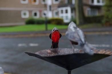 harrogate christmas market