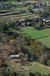 Image 306719785