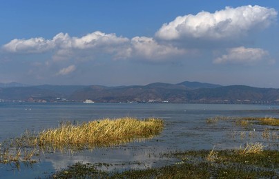 Image 306865861