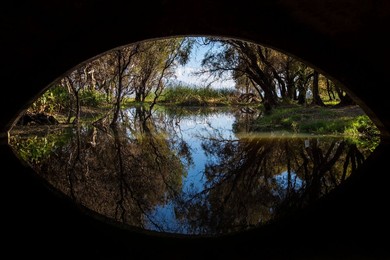 Image 306866195