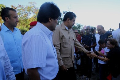 Image 307053395